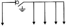 1494068434725989.jpg 2.jpg